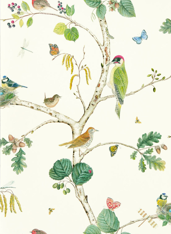 Sanderson Papier peint Woodland Chorus - Botanical/ Multi-2466.6 Sanderson Papier peint Woodland Chorus - Botanical/ Multi-2466.6