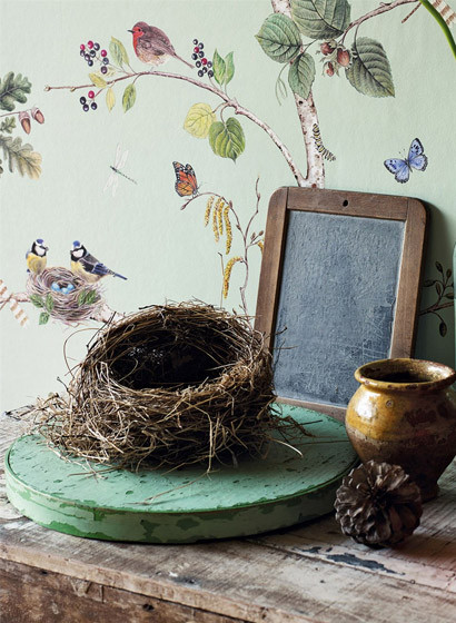 Sanderson Wallpaper Woodland Chorus-2466 Sanderson Wallpaper Woodland Chorus-2466