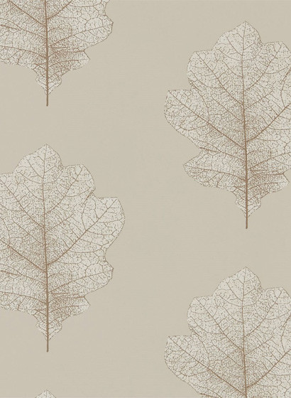 Sanderson Carta da parati Oak Filigree-2467 Sanderson Carta da parati Oak Filigree-2467