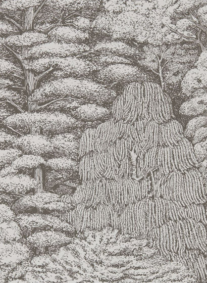 Sanderson Carta da parati Woodland Toile-2469 Sanderson Carta da parati Woodland Toile-2469