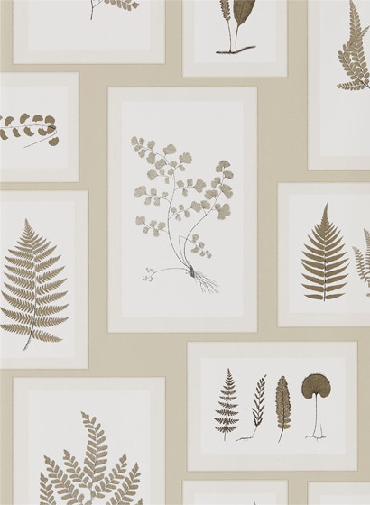 Tapete Fern Gallery von Sanderson - Linen/ Sepia-2470.2 Tapete Fern Gallery von Sanderson - Linen/ Sepia-2470.2