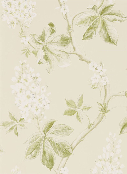Sanderson Papier peint Chestnut Tree - Lemon/ Lettuce-2472.3 Sanderson Papier peint Chestnut Tree - Lemon/ Lettuce-2472.3