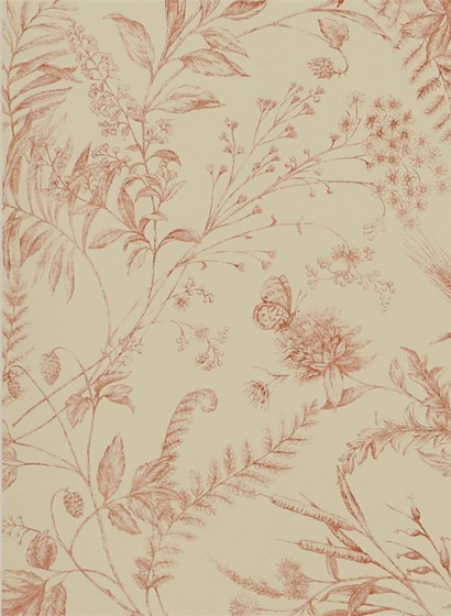Ralph Lauren Carta da parati Fern Toile-2520