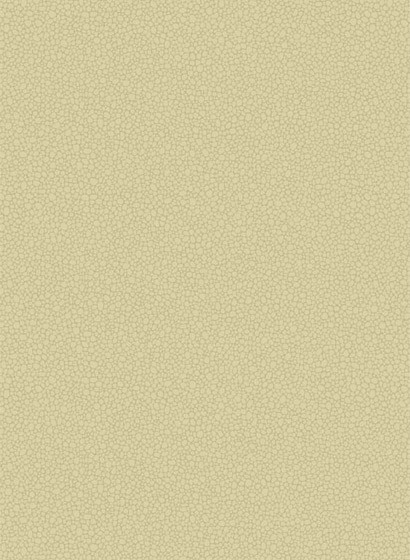 Cole & Son Carta da parati Pebble - Latte-2632.10 Cole & Son Carta da parati Pebble - Latte-2632.10
