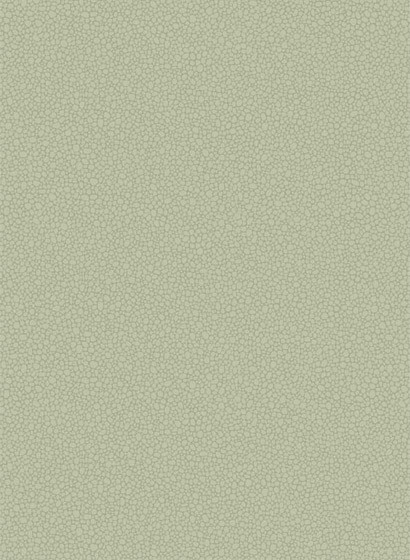 Tapete Pebble von Cole and Son - Sage-2632.13 Tapete Pebble von Cole and Son - Sage-2632.13