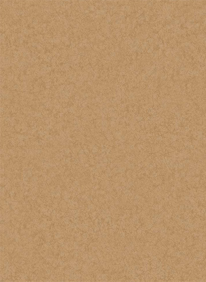 Cole & Son Papier peint Cordovan - Tan-2634.4 Cole & Son Papier peint Cordovan - Tan-2634.4