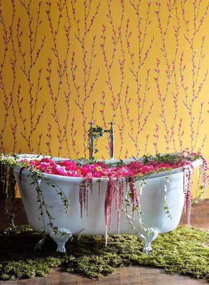 Florale Tapete Salice von Harlequin-2846 Florale Tapete Salice von Harlequin-2846