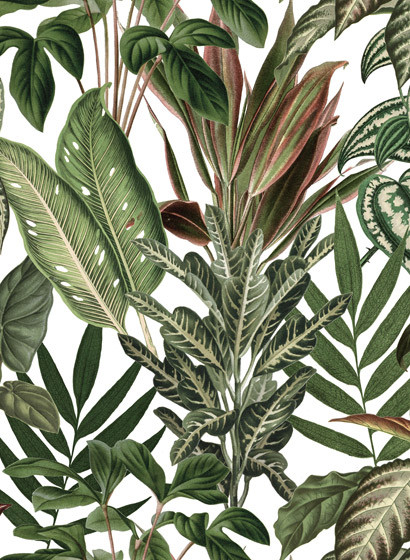 Rebel Walls Papier peint panoramique Mischievous Monkeys - Original-2919.1 Rebel Walls Papier peint panoramique Mischievous Monkeys - Original-2919.1