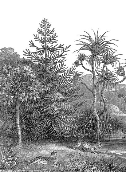 Rebel Walls Mural Jungle Land-2920 Rebel Walls Mural Jungle Land-2920