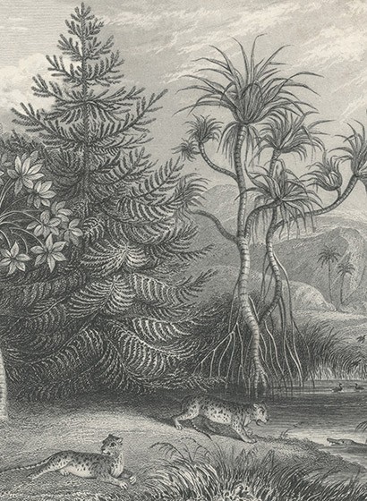 Rebel Walls Mural Jungle Land Vintage-2921 Rebel Walls Mural Jungle Land Vintage-2921