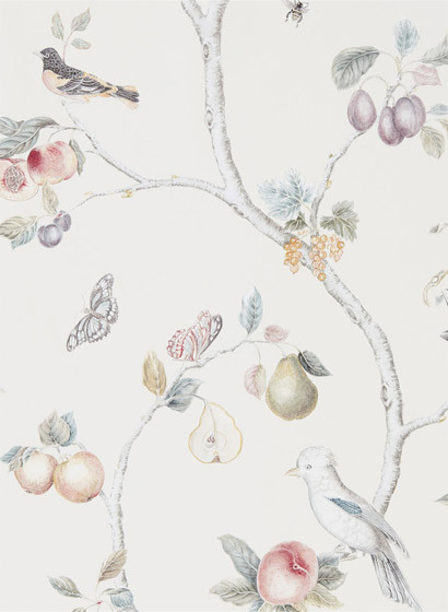 Sanderson Papier peint Fruit Aviary - Cream/ Multi-2946.4