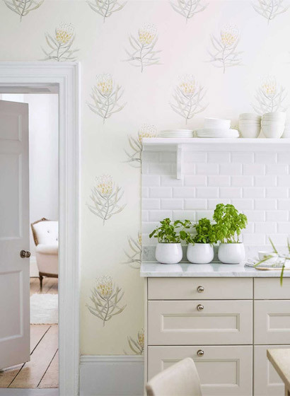 Sanderson Wallpaper Protea Flower-2947 Sanderson Wallpaper Protea Flower-2947