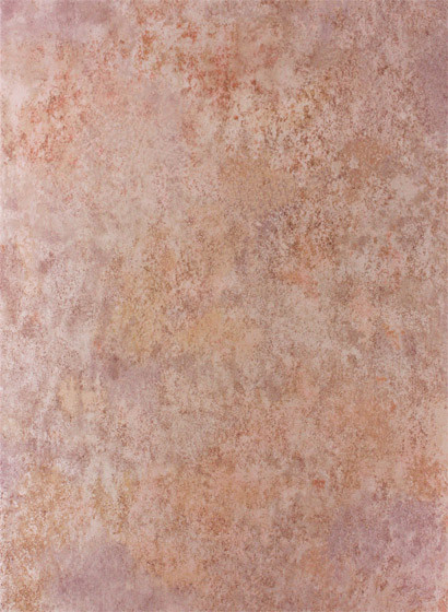 Osborne & Little Wallpaper Fresco Copper-2968.2