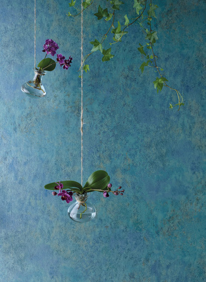 Osborne & Little Wallpaper Fresco-2968 Osborne & Little Wallpaper Fresco-2968