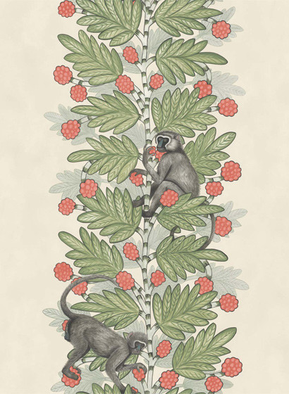 Streifentapete Acacia von Cole & Son - Cream/ Green/ Red-3025.5