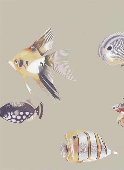 Fischtapete Kamanu von Harlequin - Mandarin/ Fig-3114.4