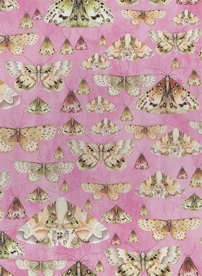 Designers Guild Wallpaper Issoria-3144