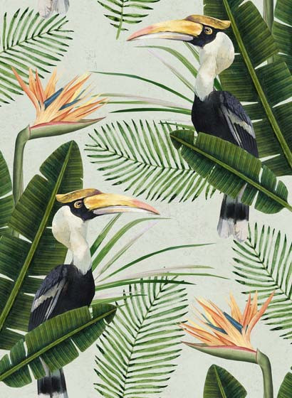 Mindthegap Papier peint Birds of Paradise-3213 Mindthegap Papier peint Birds of Paradise-3213