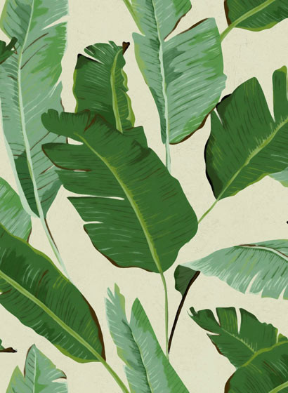 Florale Tapete Banana Leaves von MINDTHEGAP-3228 Florale Tapete Banana Leaves von MINDTHEGAP-3228