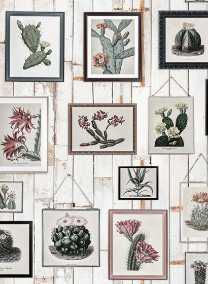 Rebel Walls Mural Cactus Wall Art-3318 Rebel Walls Mural Cactus Wall Art-3318