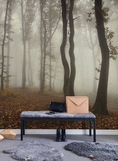 Rebel Walls Papier peint panoramique Timberland-3337