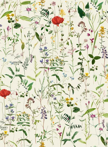 Blumentapete Aquafleur von MINDTHEGAP - WP20175-3399.3 Blumentapete Aquafleur von MINDTHEGAP - WP20175-3399.3