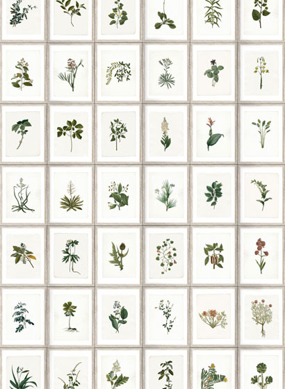 Mindthegap Carta da parati Botany-3405 Mindthegap Carta da parati Botany-3405