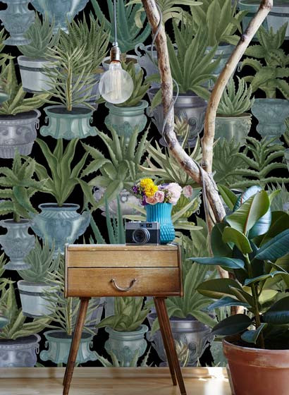 Mindthegap Carta da parati Echeveria-3412 Mindthegap Carta da parati Echeveria-3412