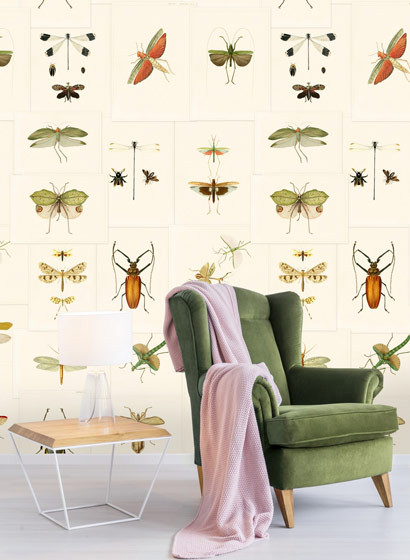Mindthegap Carta da parati Entomology-3416 Mindthegap Carta da parati Entomology-3416