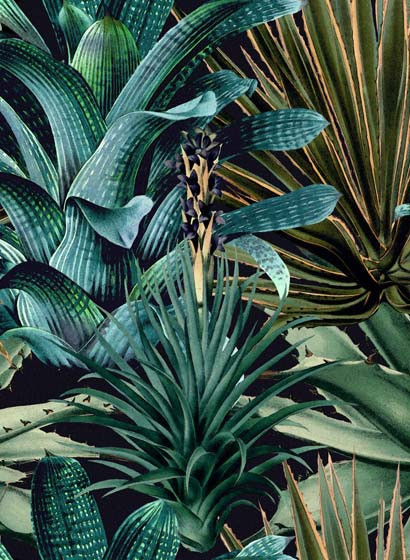 Mindthegap Carta da parati Lush Succulents-3431 Mindthegap Carta da parati Lush Succulents-3431