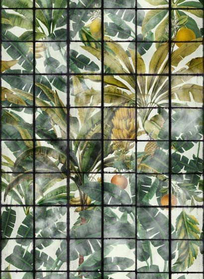 Mindthegap Carta da parati Orangerie-3440 Mindthegap Carta da parati Orangerie-3440
