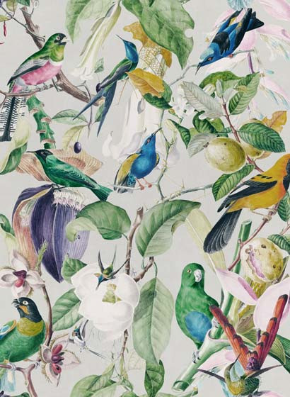 Mindthegap Carta da parati Tropical Birds-3458 Mindthegap Carta da parati Tropical Birds-3458