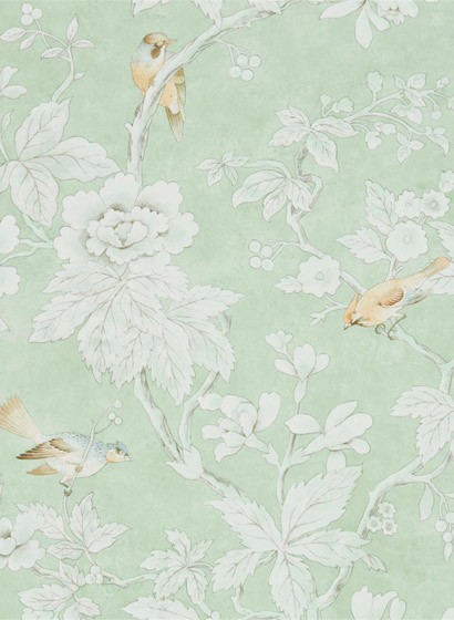 Vogeltapete Chiswick Grove von Sanderson - Sage-3464.4 Vogeltapete Chiswick Grove von Sanderson - Sage-3464.4