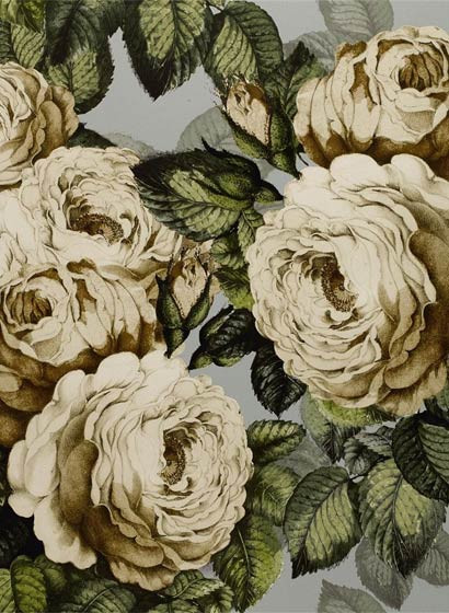 John Derian Carta da parati The Rose-3661 John Derian Carta da parati The Rose-3661