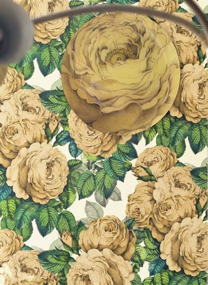 John Derian Papier peint The Rose-3661 John Derian Papier peint The Rose-3661