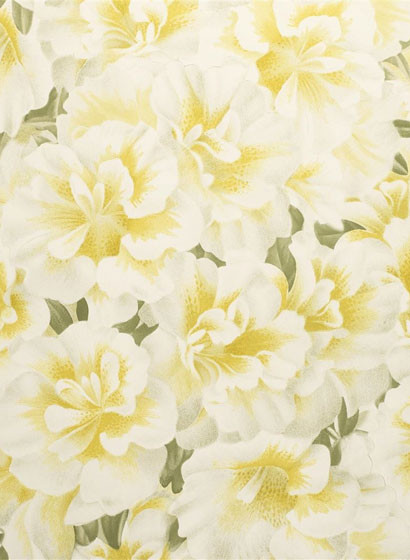 John Derian Carta da parati Variegated Azalea - Mimosa-3664.3