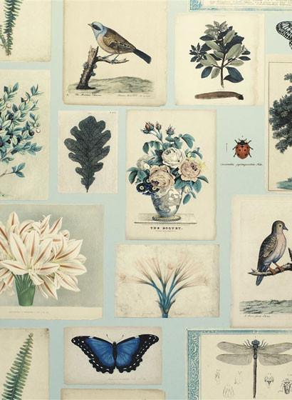 Tapete Flora and Fauna von John Derian - Cloud Blue-3665.2 Tapete Flora and Fauna von John Derian - Cloud Blue-3665.2