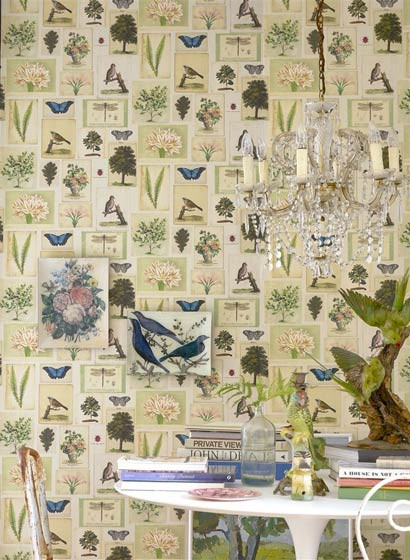 John Derian Papier peint Flora and Fauna-3665 John Derian Papier peint Flora and Fauna-3665