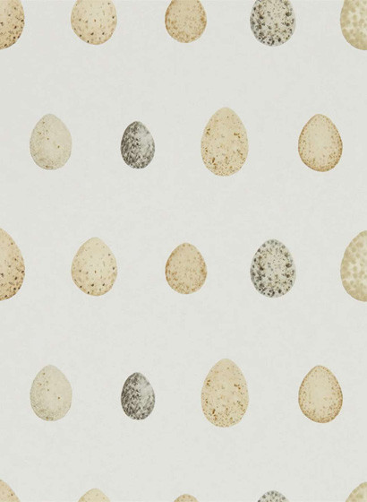 Sanderson Carta da parati Nest Egg-3676 Sanderson Carta da parati Nest Egg-3676
