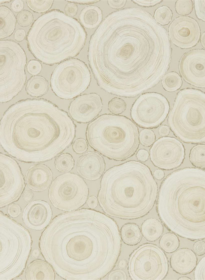 Holzscheiben Tapete Alnwick Logs von Sanderson - Birch-3680.2 Holzscheiben Tapete Alnwick Logs von Sanderson - Birch-3680.2