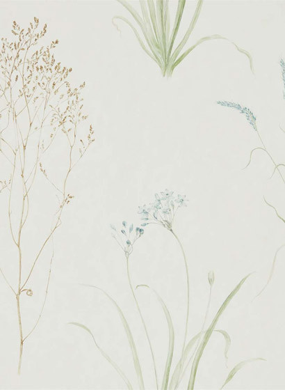 Florale Tapete Farne Grasses von Sanderson - Cream/ Sage-3681.1 Florale Tapete Farne Grasses von Sanderson - Cream/ Sage-3681.1