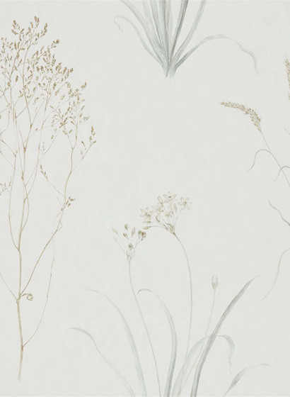 Sanderson Papier peint Farne Grasses-3681 Sanderson Papier peint Farne Grasses-3681