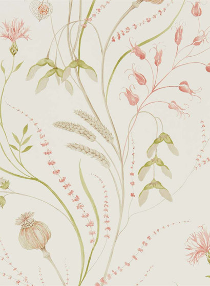 Sanderson Papier peint Summer Harvest - Claret/ Olive-3684.1 Sanderson Papier peint Summer Harvest - Claret/ Olive-3684.1