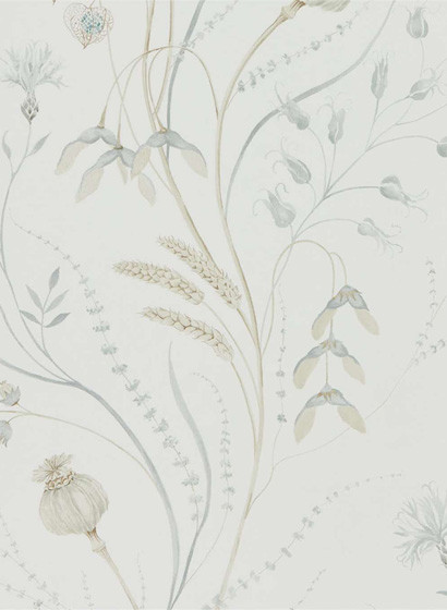 Sanderson Wallpaper Summer Harvest-3684 Sanderson Wallpaper Summer Harvest-3684