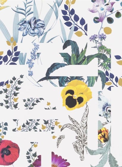Christian Lacroix Wallpaper Primavera Labyrinthum-3770 Christian Lacroix Wallpaper Primavera Labyrinthum-3770