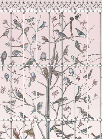 Cole & Son Wallpaper Uccelli-3888 Cole & Son Wallpaper Uccelli-3888