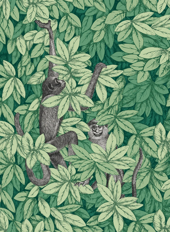 Cole & Son Tapete Foglie e Scimmie - Forest Green-9940.4 Cole & Son Tapete Foglie e Scimmie - Forest Green-9940.4