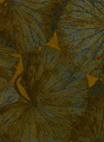 Zoffany Wallpaper Taisho D-4033