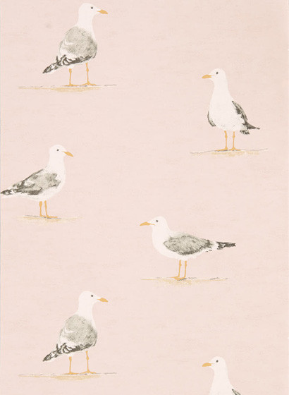Möwen Tapete Shore Birds von Sanderson - Blush-4038.1 Möwen Tapete Shore Birds von Sanderson - Blush-4038.1