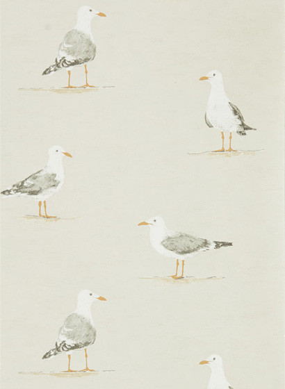 Möwen Tapete Shore Birds von Sanderson - Driftwood-4038.2 Möwen Tapete Shore Birds von Sanderson - Driftwood-4038.2